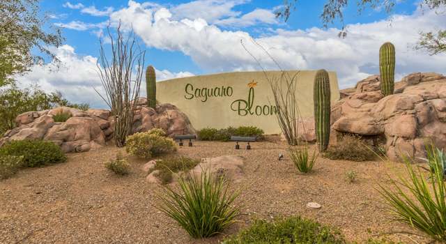 Photo of 10023 N Cardon Grande Trl, Marana, AZ 85653