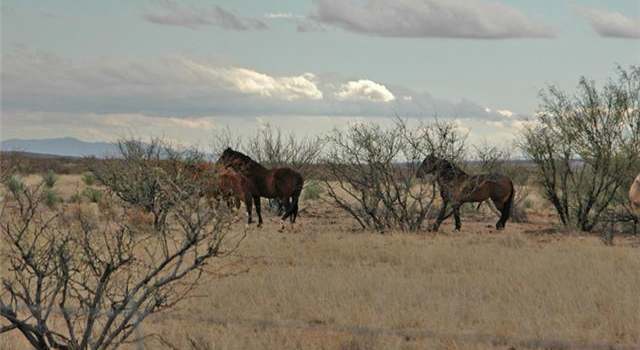 Photo of 0 N Horvatin Ln #0, Mc Neal, AZ 85617