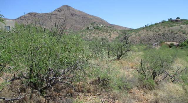 Photo of 423 Camino Osito #63, Rio Rico, AZ 85648