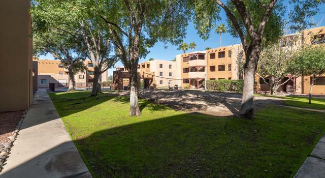 Photo of 1810 E Blacklidge Dr #515, Tucson, AZ 85719