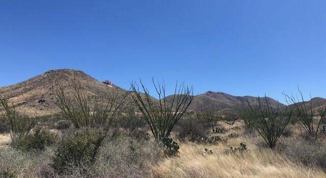 Photo of 18795 S Houghton Rd #5, Vail, AZ 85641