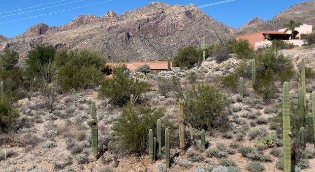 Photo of 6961 N Ozona Dr #17, Tucson, AZ 85718