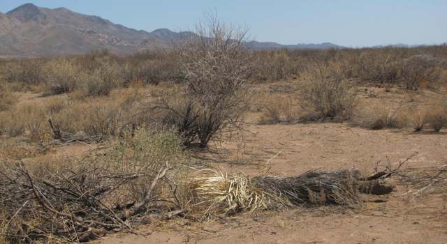 Photo of TBD N Rancho Del Sol Rd, Elfrida, AZ 85610
