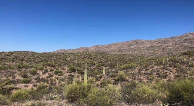 Photo of TBD E Rincon Creek Ranch Rd, Tucson, AZ 85747