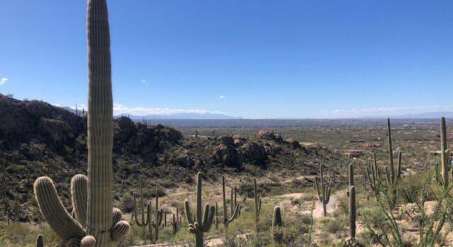 Photo of 4000 N Caliente Canyon Pl, Tucson, AZ 85749