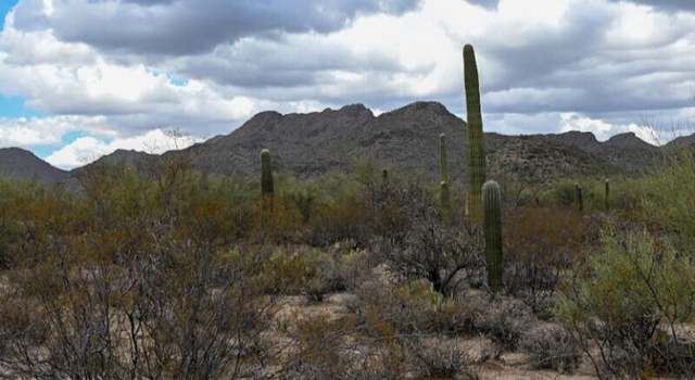 Photo of 3890 W Moore Rd, Marana, AZ 85658