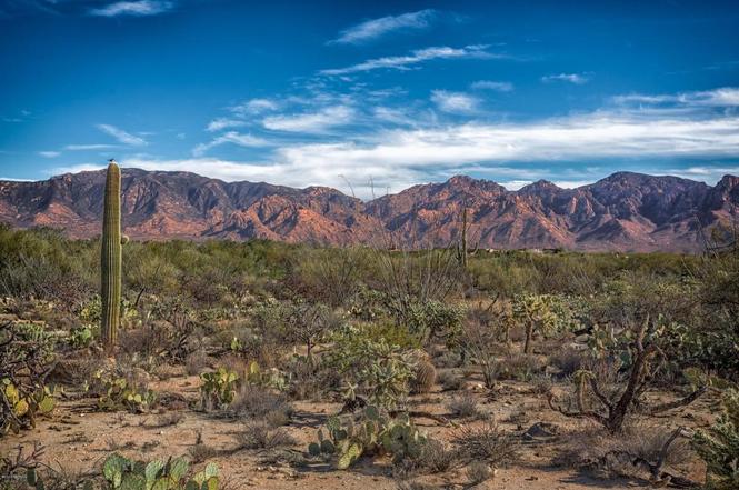 Oro Valley GenMid.21600012_3