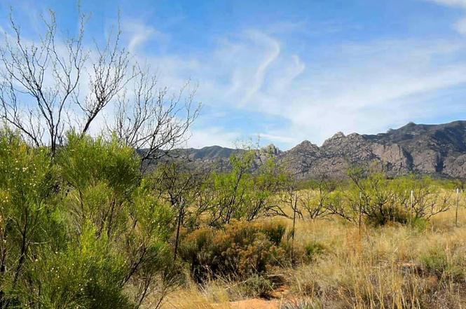 cochise stronghold cochise stronghold
