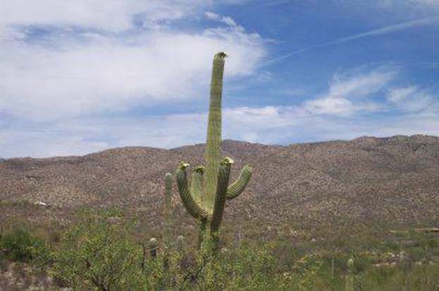 sales tax rate tucson az 85749