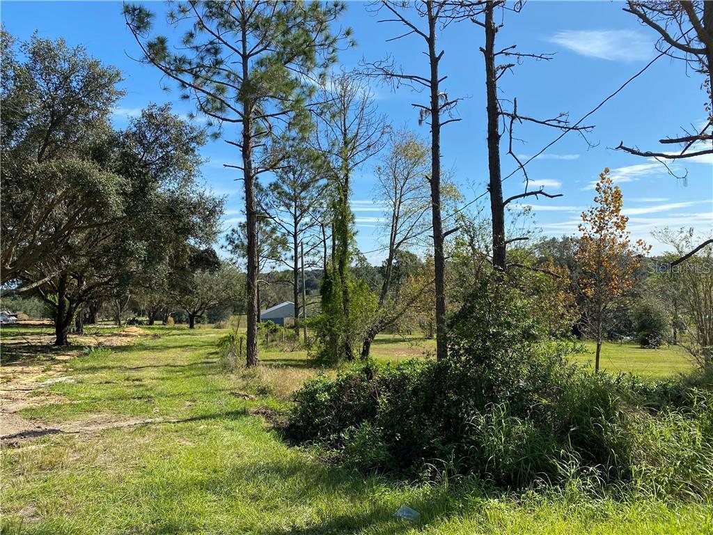 20342 Sugarloaf Mountain Rd, Clermont, FL 34715 | Redfin