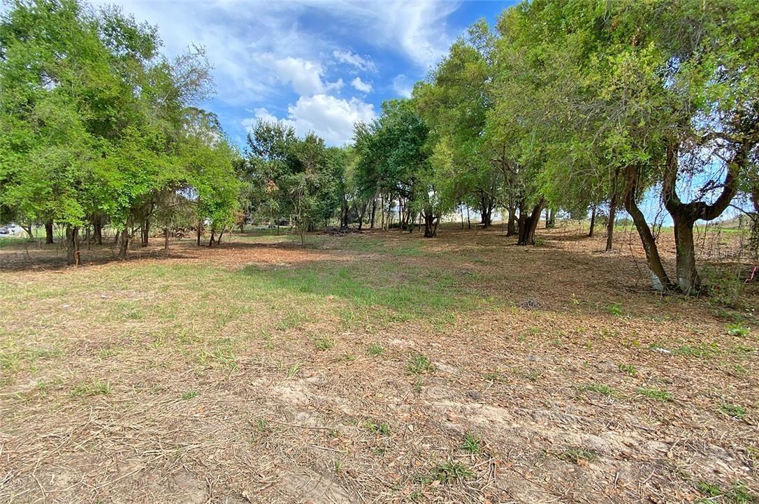 1.78 acres Lakeshore Rd, CLERMONT, FL 34711 | MLS# O5935339 | Redfin