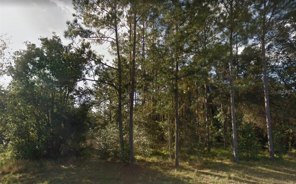 150 Church St, LAKE HELEN, FL 32744 MLS V4923341 Redfin