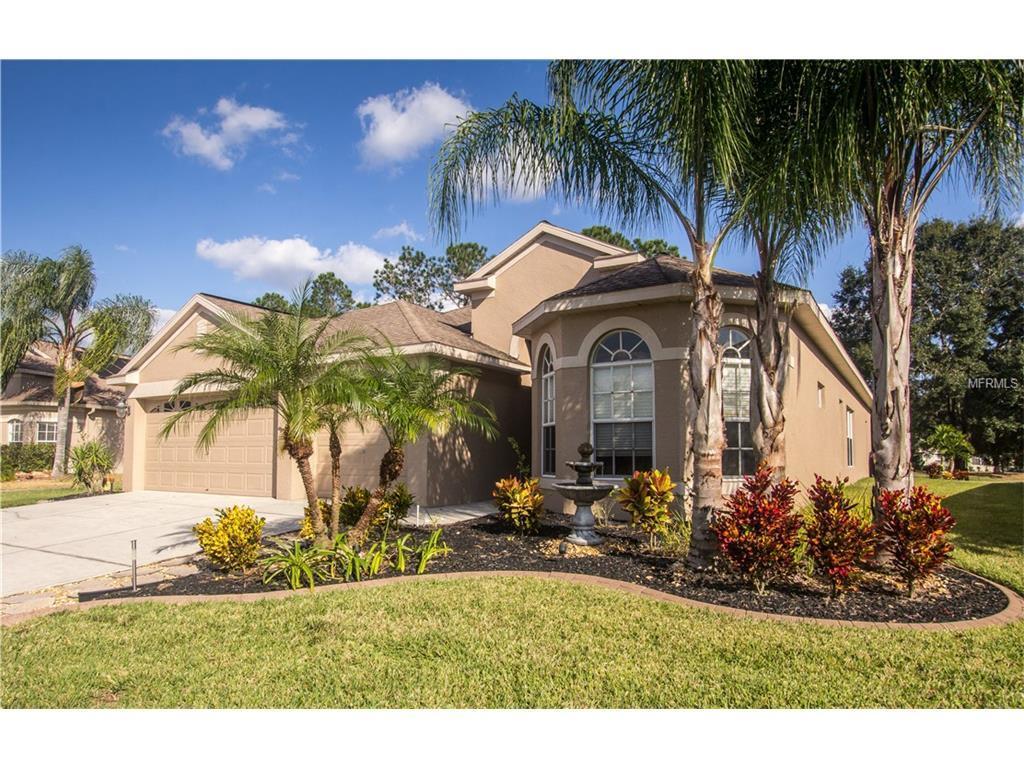 23934 Plantation Palms Blvd, LAND O LAKES, FL 34639 MLS T2848388 Redfin