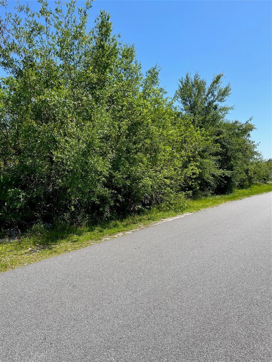 Friars Cove Ln, SAINT CLOUD, FL 34772 MLS S5084465 Redfin