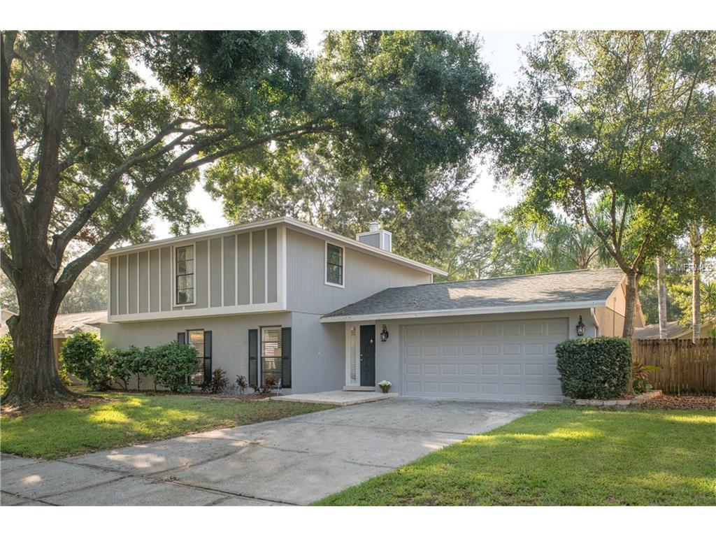 Tampa florida gay bath houses