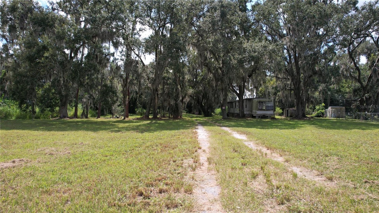 Sam allen rd plant city