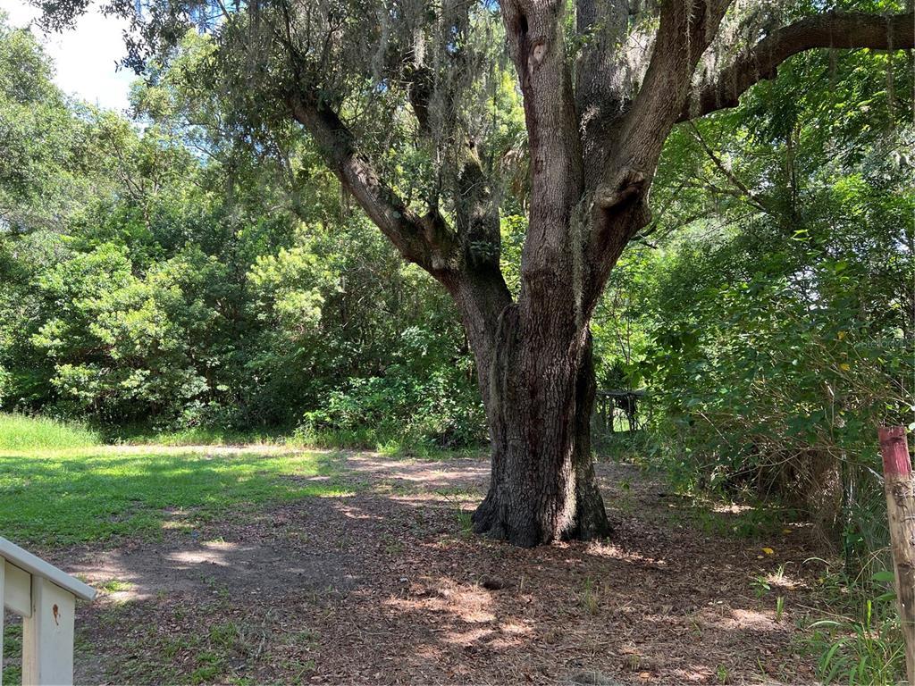 1503 Veech Rd, LEESBURG, FL 34748 MLS G5057618 Redfin