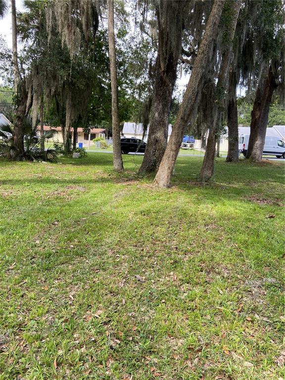 palmetto smyrna 1209