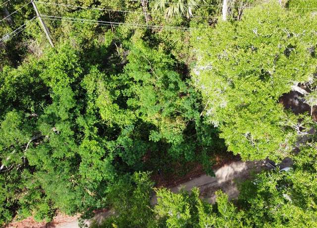 Property at Lot 58 and 59 Paducah St, Sorrento, FL 32776
