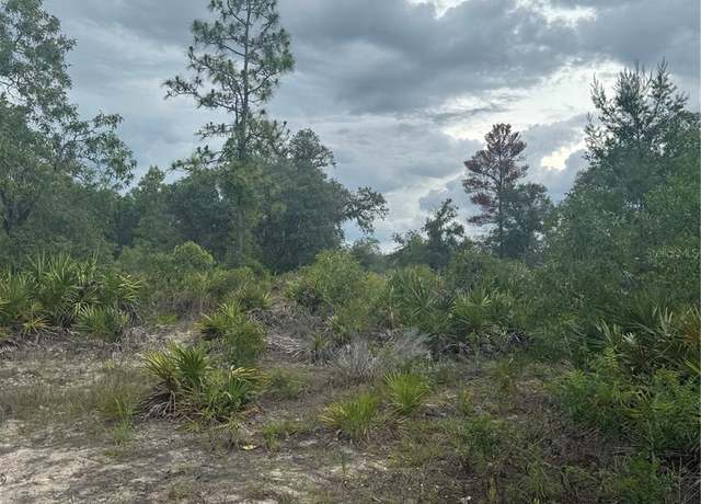 Property at NE 105st, Archer, FL 32618