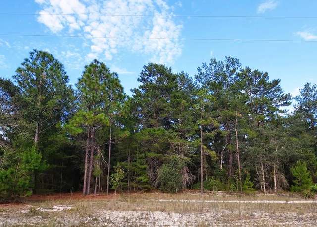 Property at Donovan Ave, Interlachen, FL 32148
