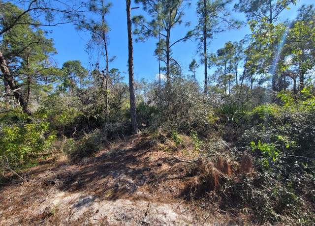 Property at 317 Tannery Ln, Lake Placid, FL 33852