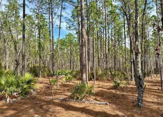 Property at NW County Road 236, Bell, FL 32619