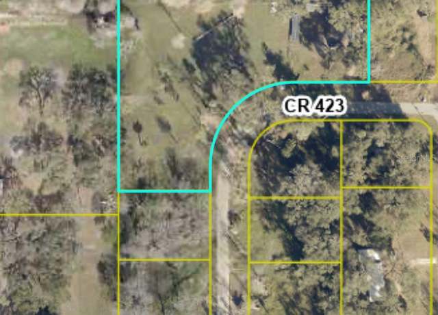 Property at Lot 24-28 CR 423, Lake Panasoffkee, FL 33538