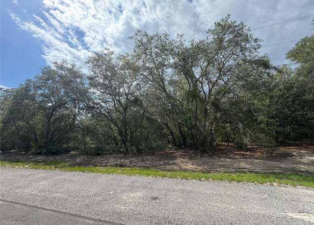 Property at 0 Fisher Ter #7, Ocklawaha, FL 32179