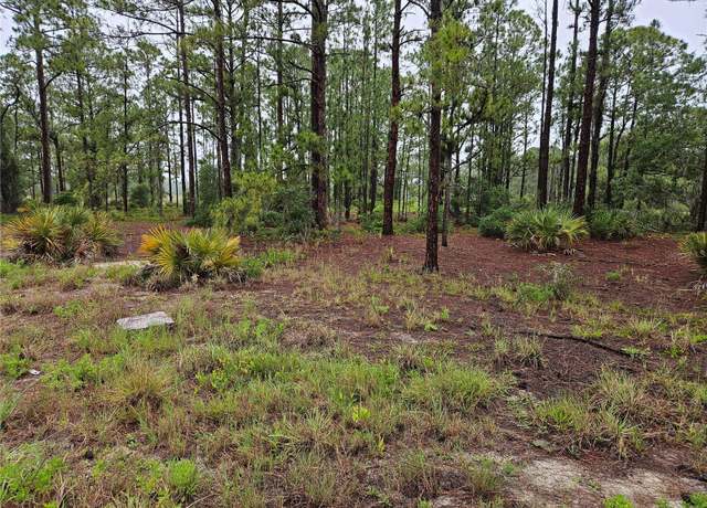 Property at 308 Sunflower Ave, Lake Placid, FL 33852