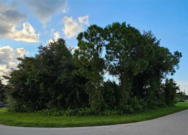 Property at 133 Valdiva St, Punta Gorda, FL 33983