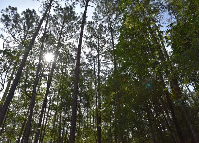 Property at 4050 Als Satch Rd, Middleburg, FL 32068