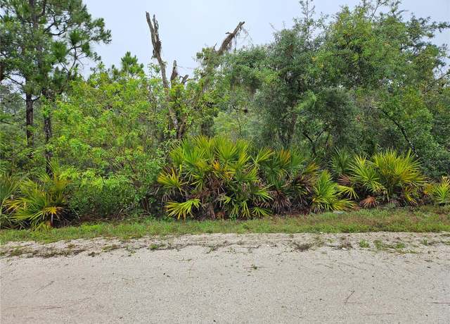 Property at 276 Deerwalk Ave, Lake Placid, FL 33852