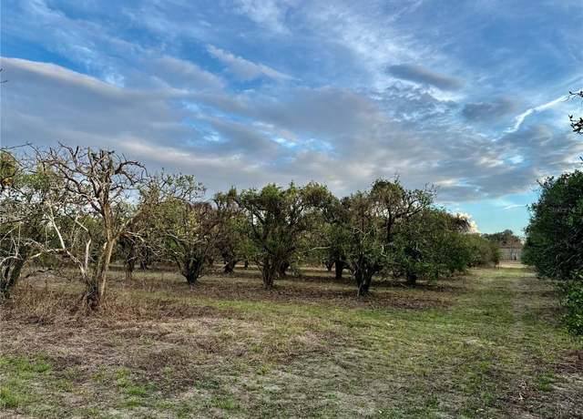 Property at 0 SE 165th Ave, Weirsdale, FL 32195