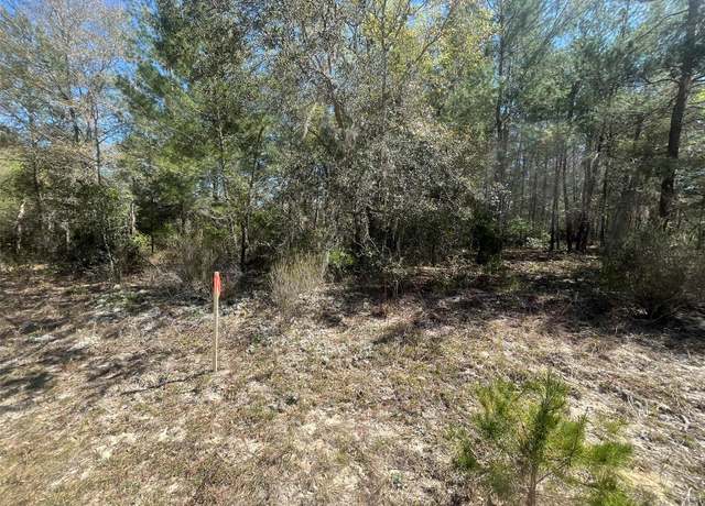 Property at Kitty, Interlachen, FL 32148