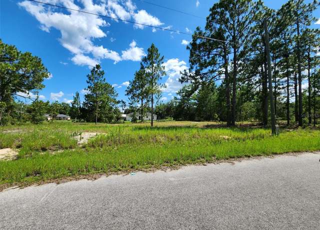 Property at Malauka Radial Run, Ocklawaha, FL 32179
