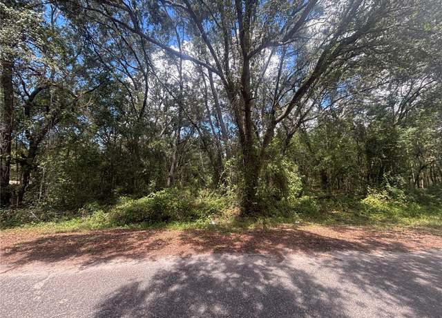 Property at 56 Fisher Lane Ct, Ocklawaha, FL 32179