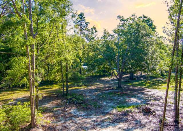Property at NW Gloriosa Ln, Lee, FL 32059