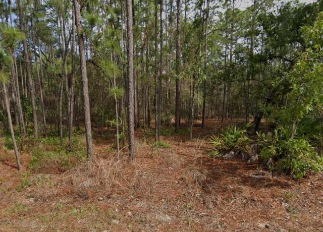 Property at 38 Fringetree St, Homosassa, FL 34446