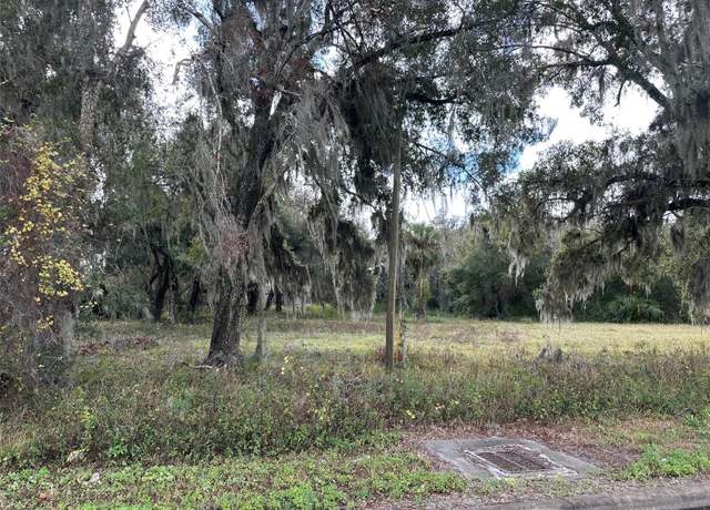 Property at Doyle Rd, Osteen, FL 32764