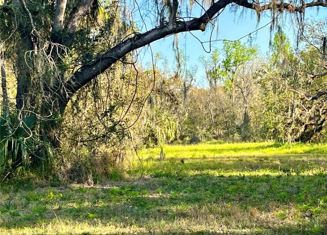 Property at Dansby Rd, Wauchula, FL 33873