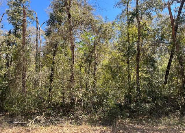 Property at Walker, Interlachen, FL 32148
