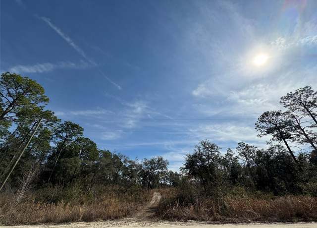 Property at SW 175th Ct, Dunnellon, FL 34432