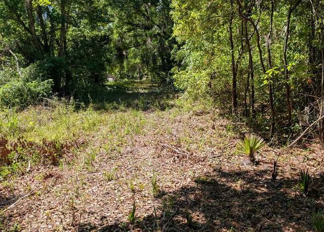 Property at 0 NW 202nd Pl, Mc Intosh, FL 32664