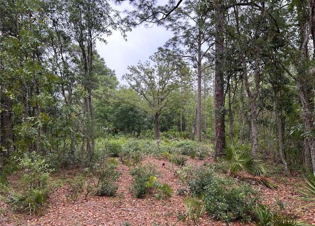Property at S Slash Pine Ave, Homosassa, FL 34446
