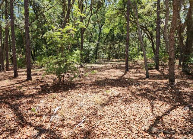 Property at 3775/3787 S Osprey Pt, Inverness, FL 34450