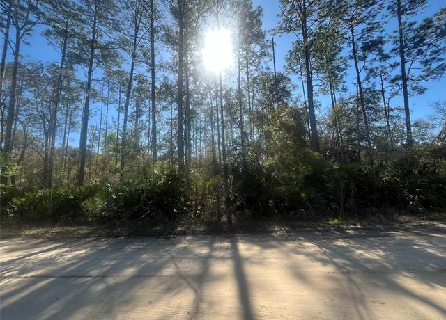 Property at Scott, Interlachen, FL 32148