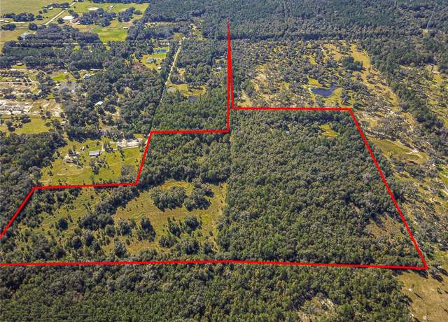 Property at 00 W Hwy 316, Reddick, FL 32686