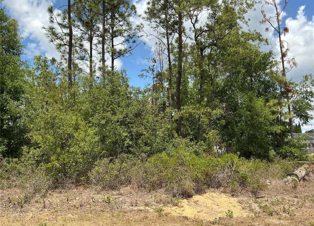 Property at SE 160th Pl, Summerfield, FL 34491
