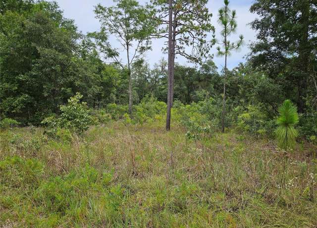 Property at 919 NE 148th Ct, Williston, FL 32696